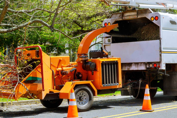 Best Hazardous Tree Removal  in Gerber, CA